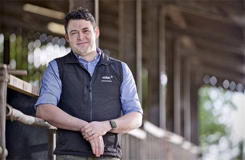Be Aware of Changing Mycotoxin Risk Following a Hot, Dry Summer