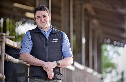 Be Aware of Mycotoxin Risk After a Hot, Dry Summer